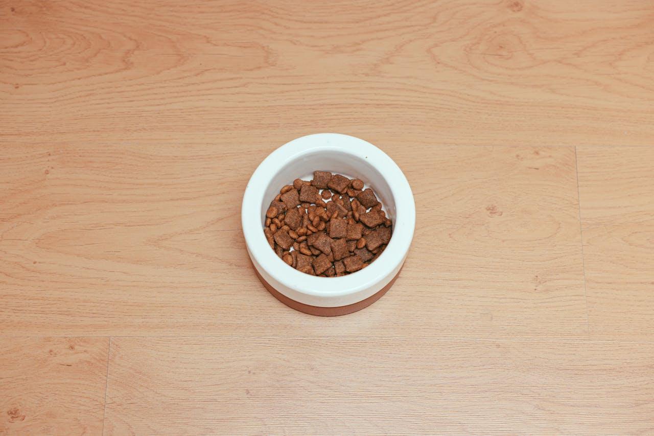 Quais nutrientes são necessários na alimentação dos cachorros?