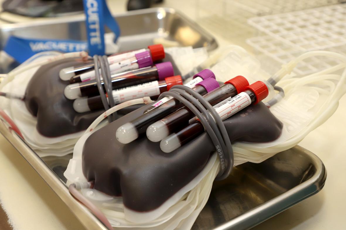 Rotary Club de Itatiba promove nova campanha de doação de sangue no dia 11