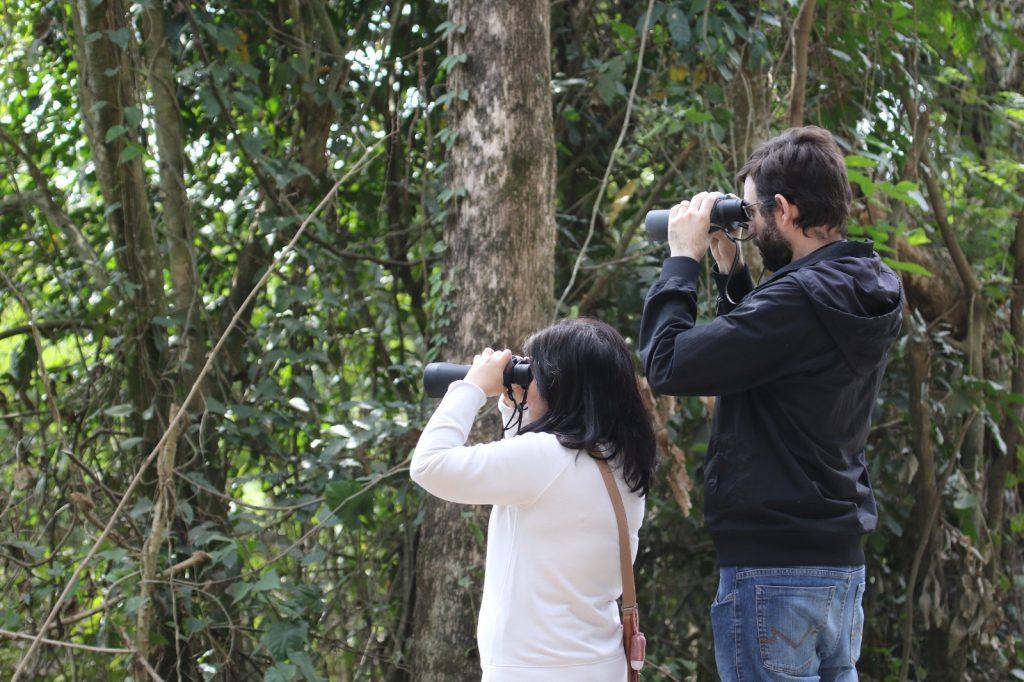 Governo de SP participa de campanha que convida população a escutar as aves da Mata Atlântica