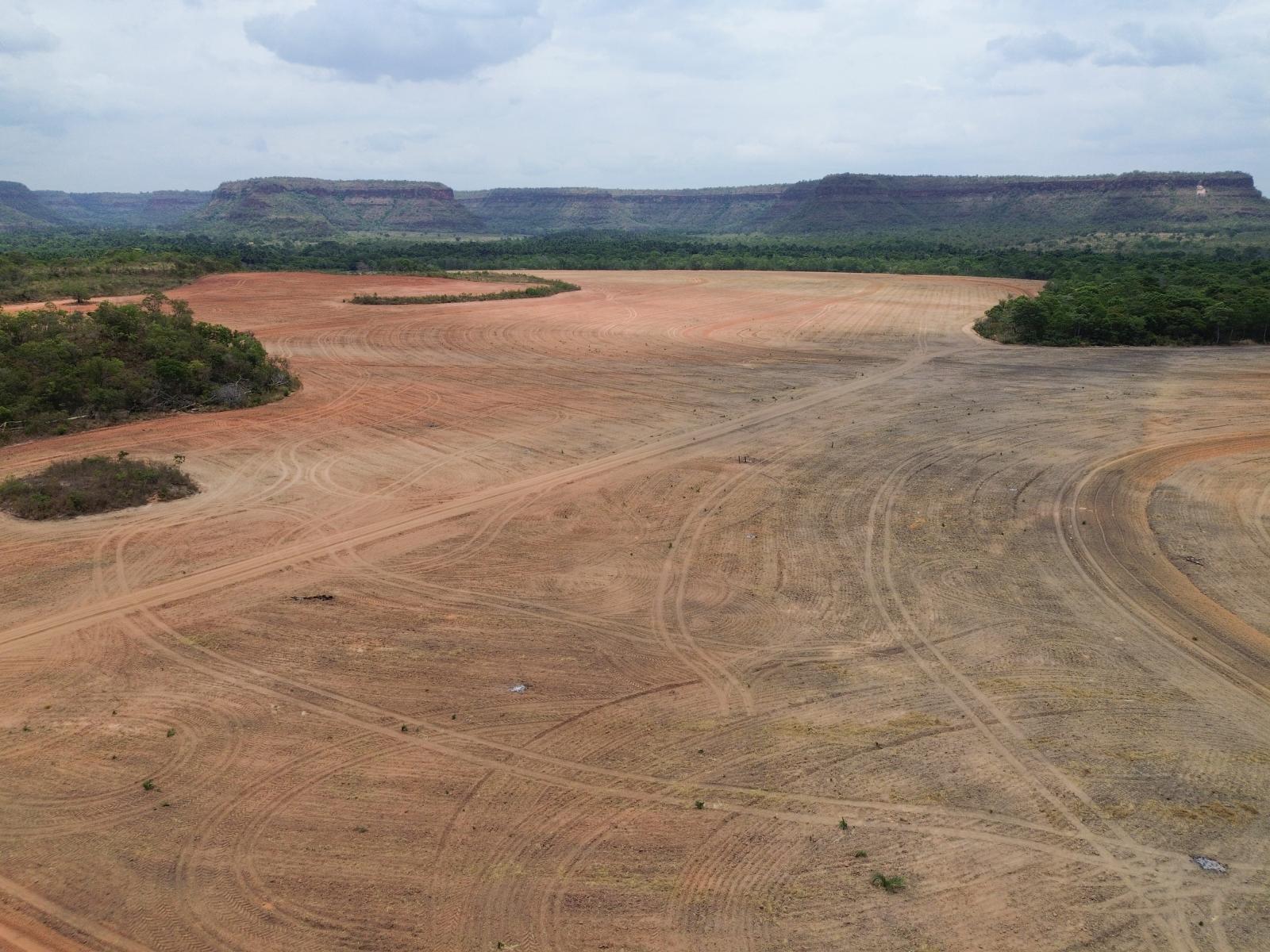 Crise climática é o pior desafio da história humana, diz cientista