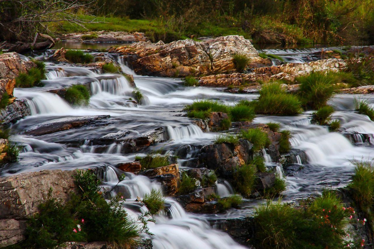 Exposição ‘Expressões da Natureza’ chega a Jundiaí com olhar sensível sobre a biodiversidade e o invisível da vida selvagem