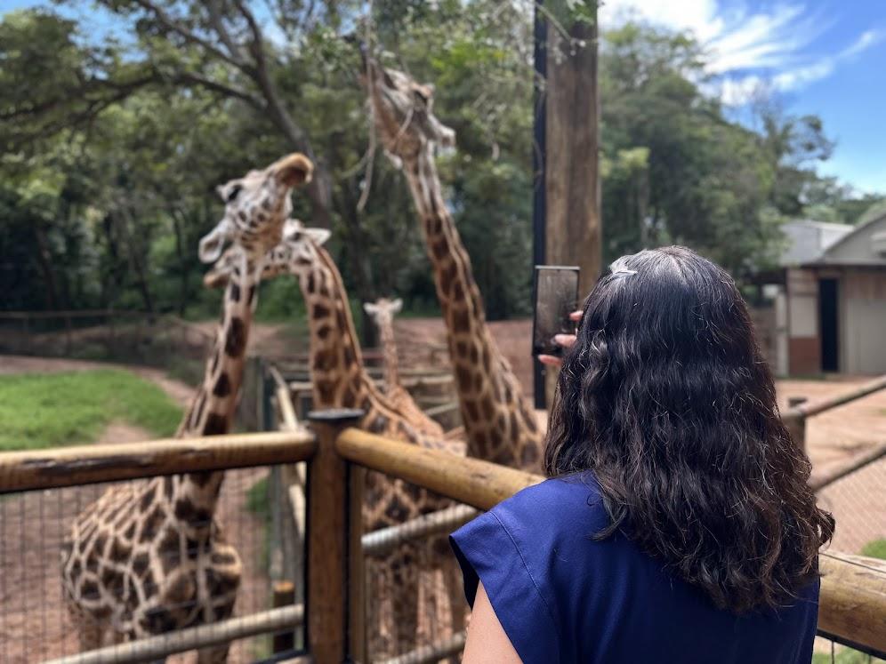 Férias de julho no Zooparque Itatiba oferecem atrações especiais para toda a família