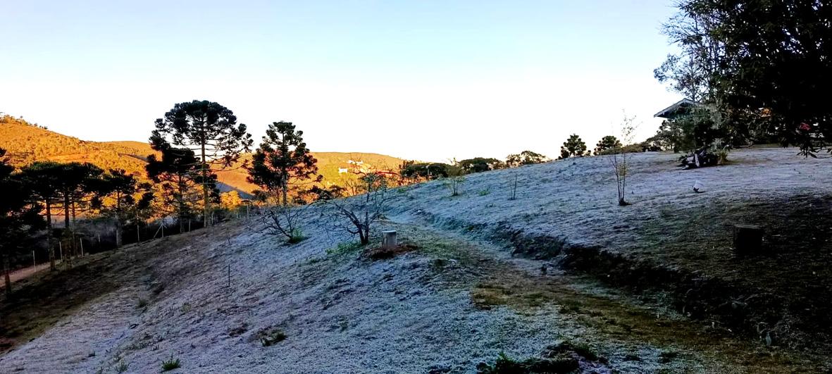 Estado registra novo recorde de frio em 2026; temperaturas começam a subir a partir desta quinta