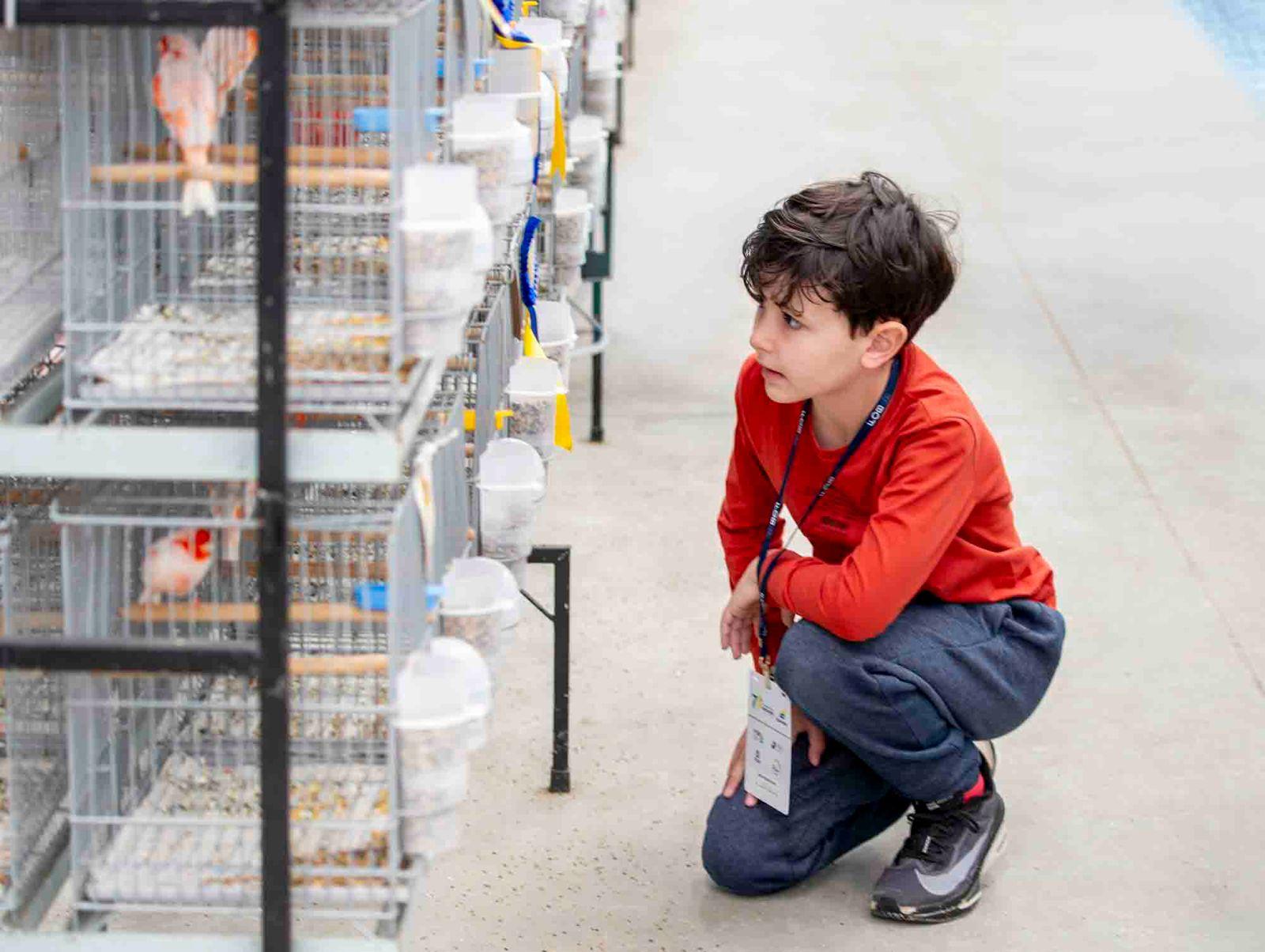 Expoaves 2026 abre ao público a exposição das aves campeãs nesta sexta e sábado