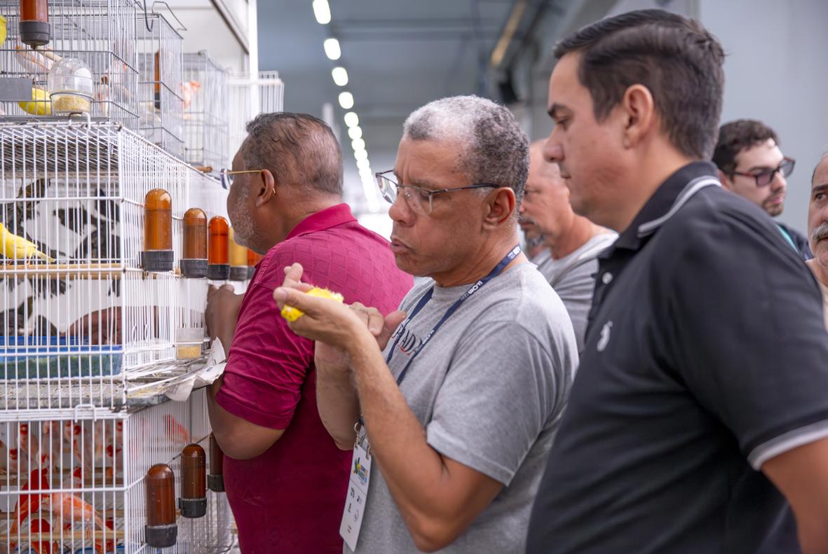 Expoaves 2026 começa nesta quinta e deve reunir cerca de 100 mil aves em Itatiba