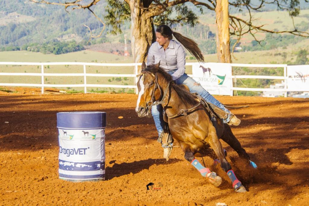 Última etapa do 4º Campeonato de Cavalo Quarto de Milha movimenta o Posto de Monta neste sábado (11/07)