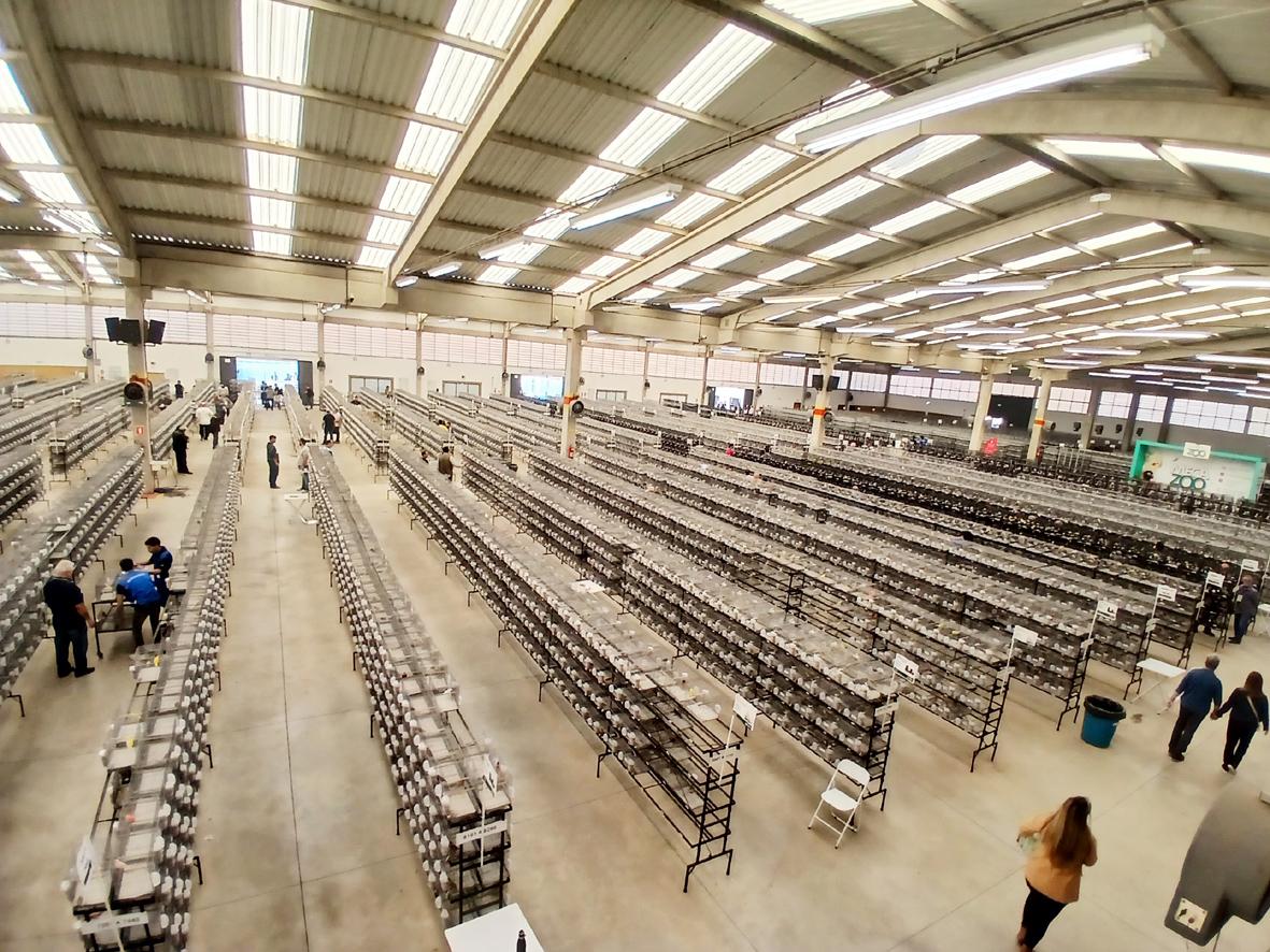 EXPOFOB 2026 começa em Itatiba e abre espaço para comercialização de aves domésticas