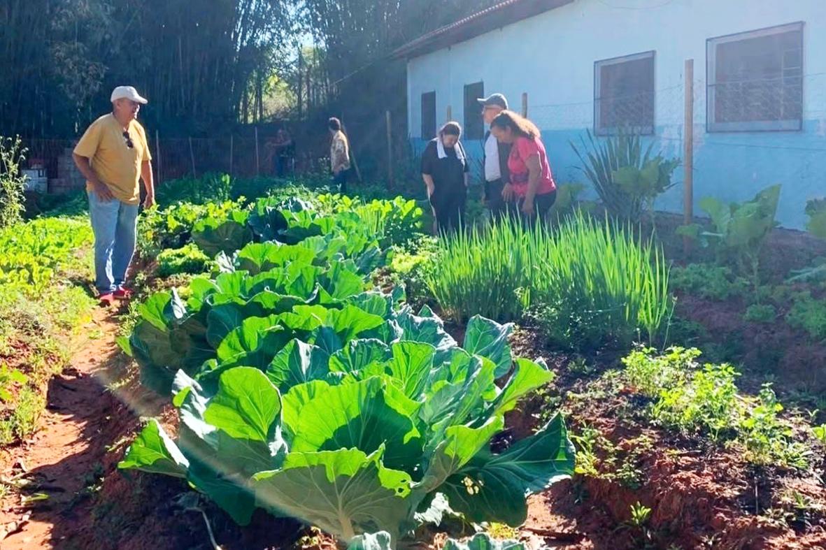 Hortas Comunitárias completam um ano e avançam para criação de rede em Itatiba