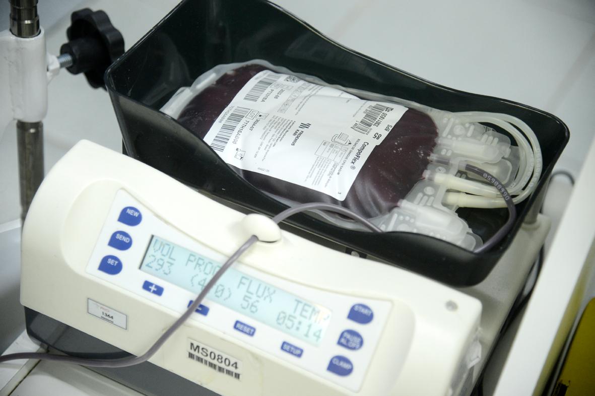 Nova lei institui Junho Vermelho e reforça incentivo à doação de sangue no país