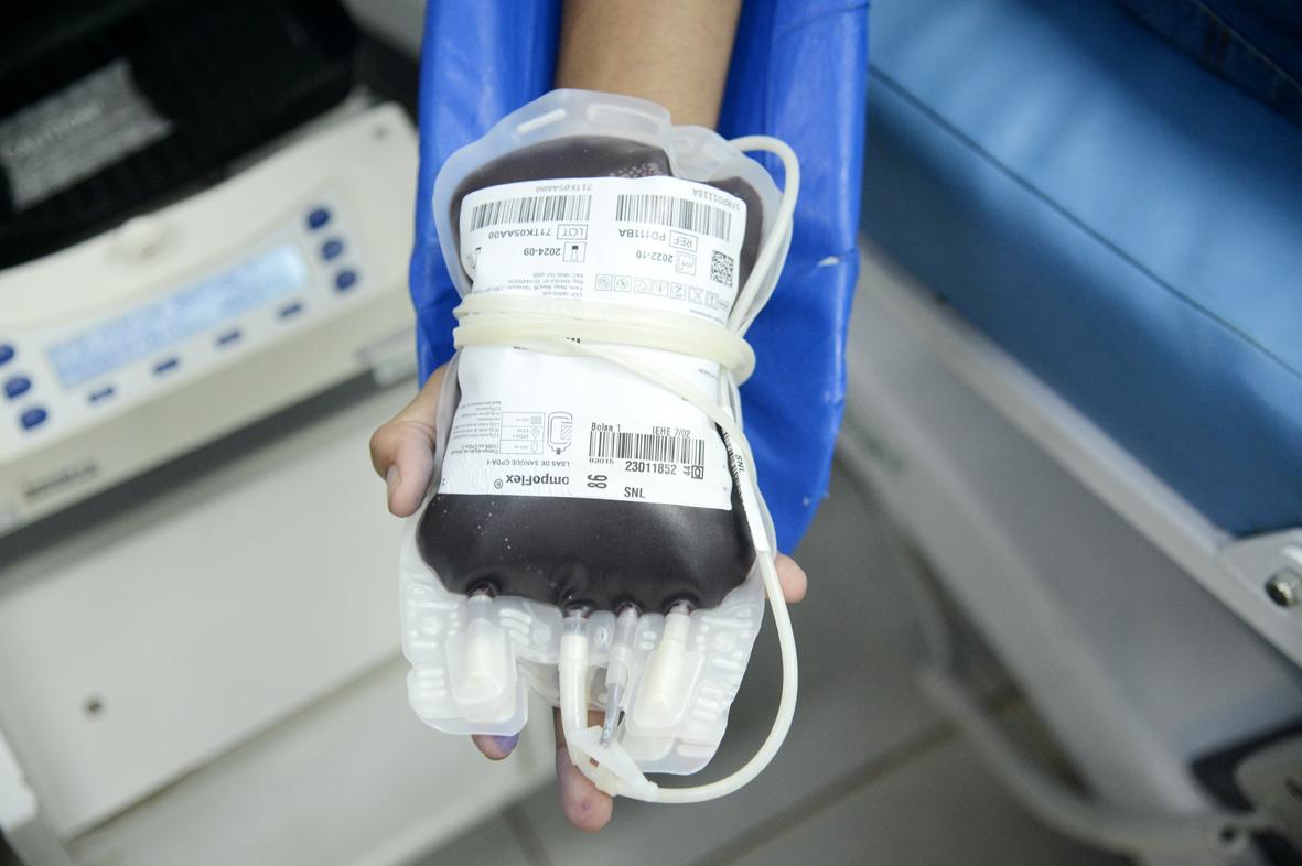 Novas regras para doação de sangue entram em vigor em outubro