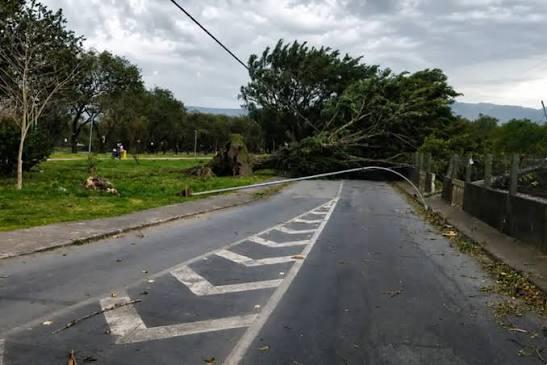 SP: ventania pode atingir 50 km/h no fim de semana