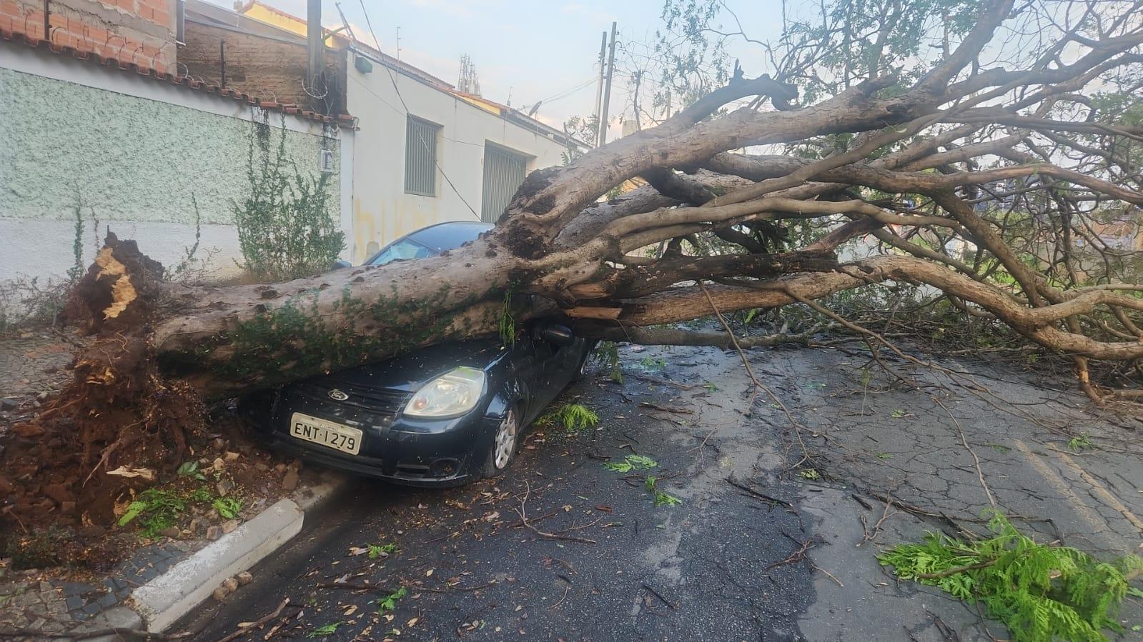 Tempestade causa destelhamentos e derruba árvore sobre carro em Campinas