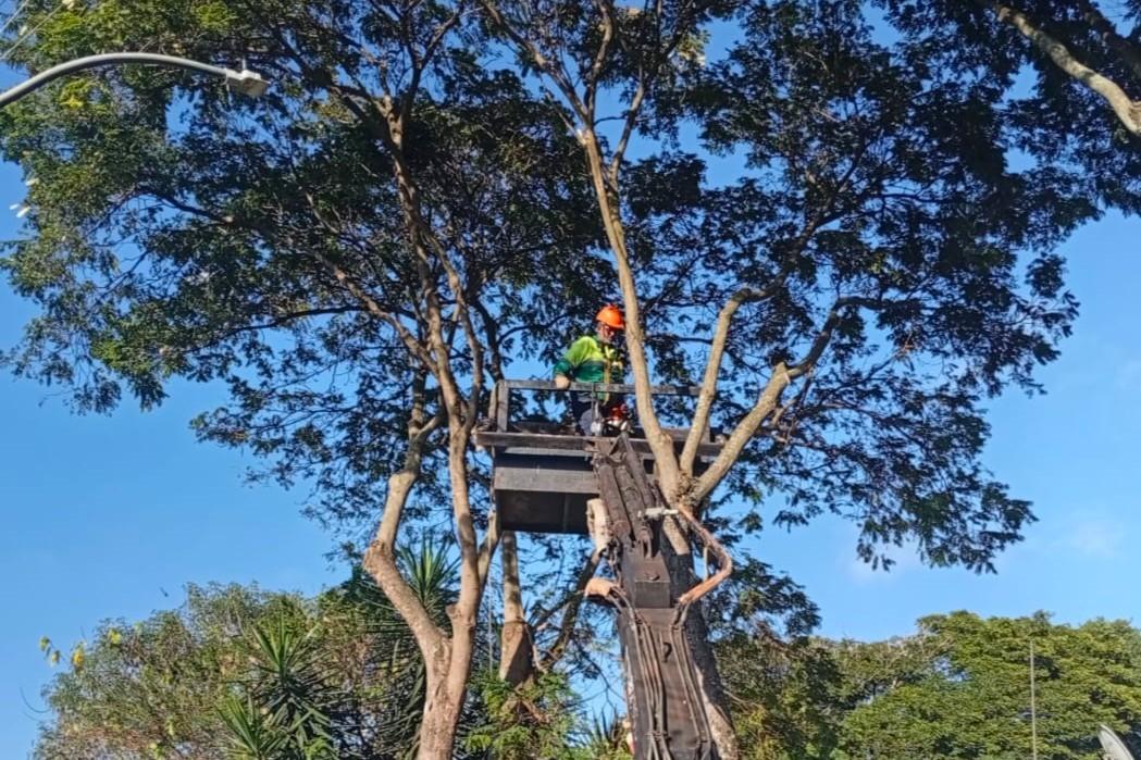 Trecho da Av. Nossa Sra. das Graças terá sistema Pare e Siga na segunda-feira