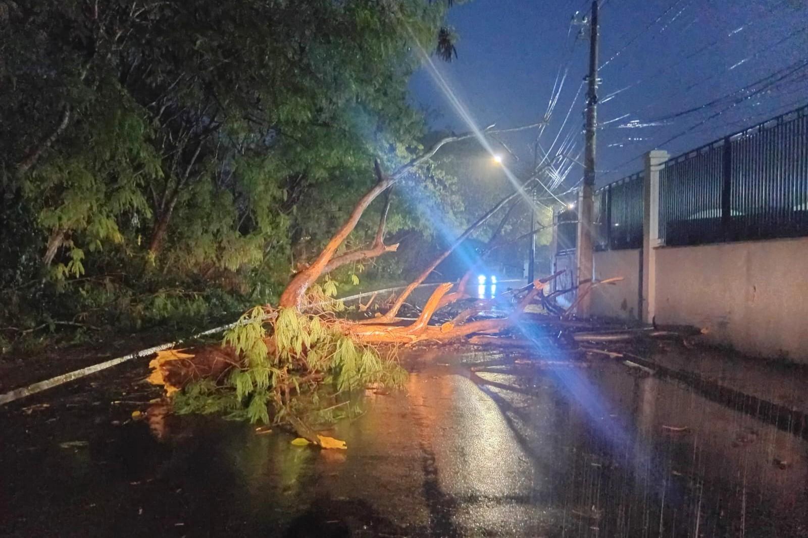 Chuva e ventos provocam queda de árvores e destelhamento em Itatiba
