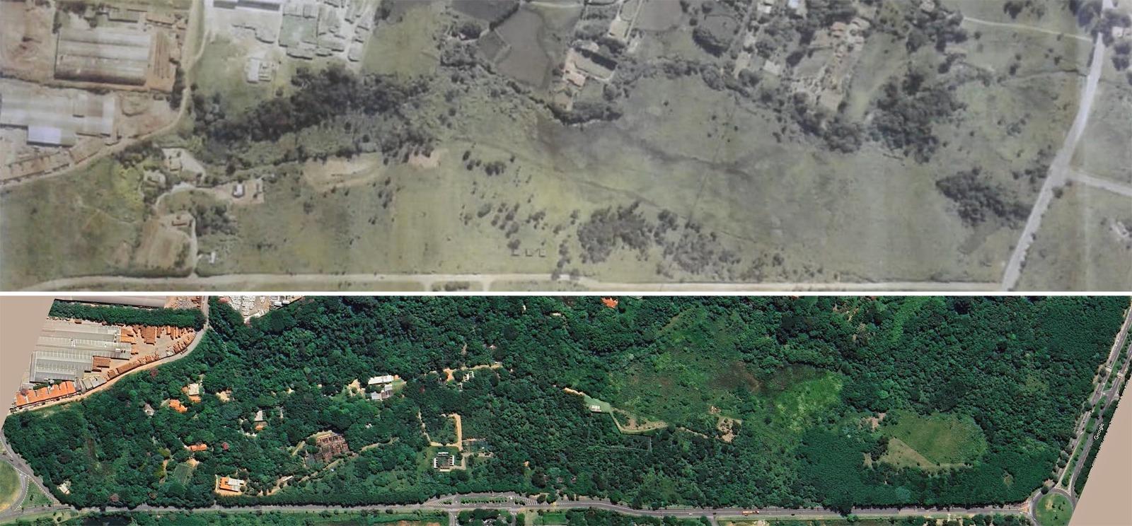 Projeto de Lei muda para Zona Especial de Proteção Ambiental terreno onde está a Associação Mata Ciliar 