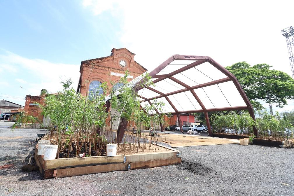 Protótipo com 400 mudas leva projeto de microflorestas ao Campinas Innovation Week 