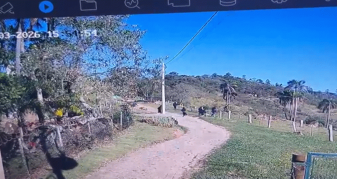 Suspeito é preso após grupo voltar a tentar roubo em condomínio de Joaquim Egídio