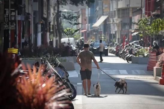 Fim do fluxo na antiga Cracolândia reduz roubos em 66% e faz homicídios despencarem