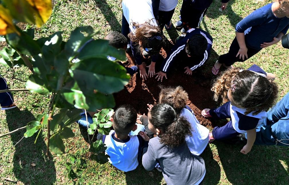 Projeto de arborização escolar avança e Campinas planta mais de 700 mudas em um mês 